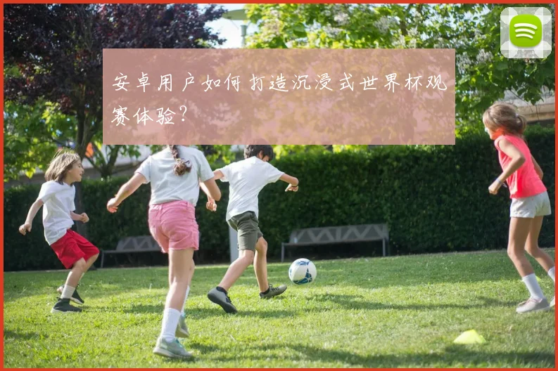 安卓用户如何打造沉浸式世界杯观赛体验？